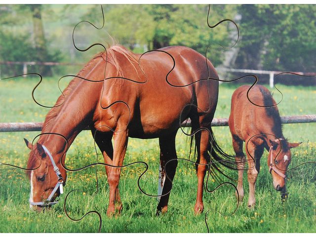 Pussel bondgårdsdjur 8 olika pussel